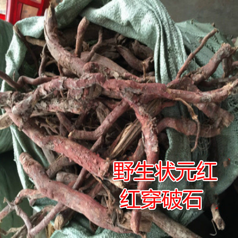 野山药材状元红 红川破 铁牛入石 红穿破石根 干品1000克多省包邮