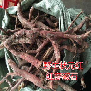 野山药材状元红 红川破 铁牛入石 红穿破石根 干品1000克多省包邮