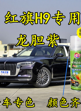 红旗H9龙胆紫色划痕修补漆笔手喷漆防锈金属汽车油漆原厂配方专用