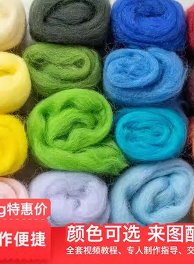 羊毛毡戳戳乐diy材料包新手体验套装针湿毡两用工具原料70s羊毛条