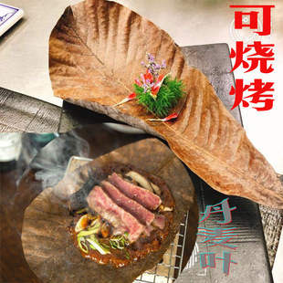 丹麦叶刺身姿造装饰大树叶冷菜盘饰热菜盛器创意餐具日式料理朴叶