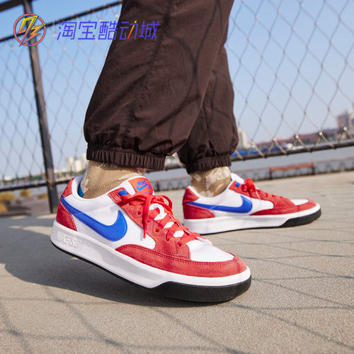 耐克Nike SB 缓震复古滑板运动防滑耐磨低帮休闲板鞋 HM3720-141