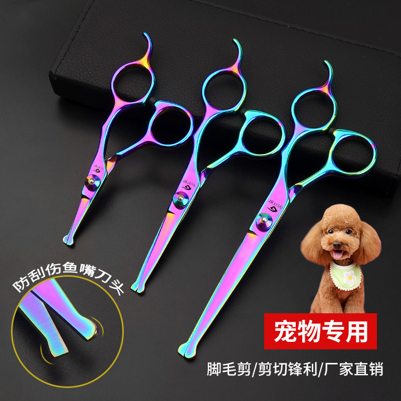 宠物剪刀套装圆头剪多尺寸安全防刮剪狗狗脚毛剪美容修剪工具