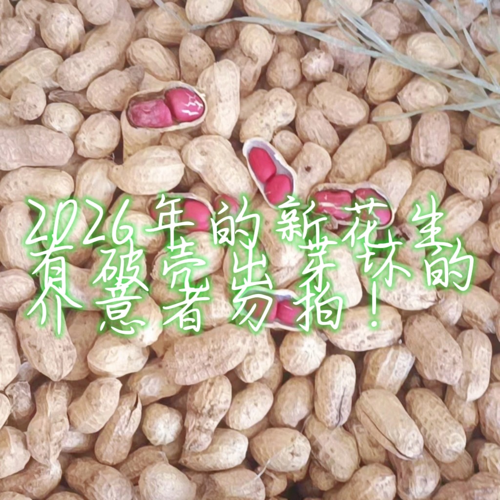 2026年新花生带壳带泥晒干花生农家自种自产自销