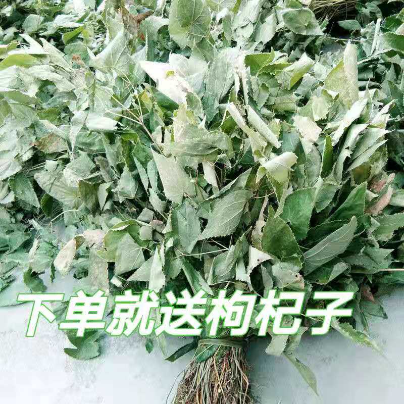 秦岭野生淫羊藿绿色整株500g精品男性滋补正品中药材送枸杞包邮