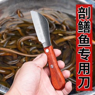 锋钢鳝鱼刀工高速钢杀黄鳝刀杀鱼破鱼宰泥鳅刀木柄鲫鱼刀W18左手