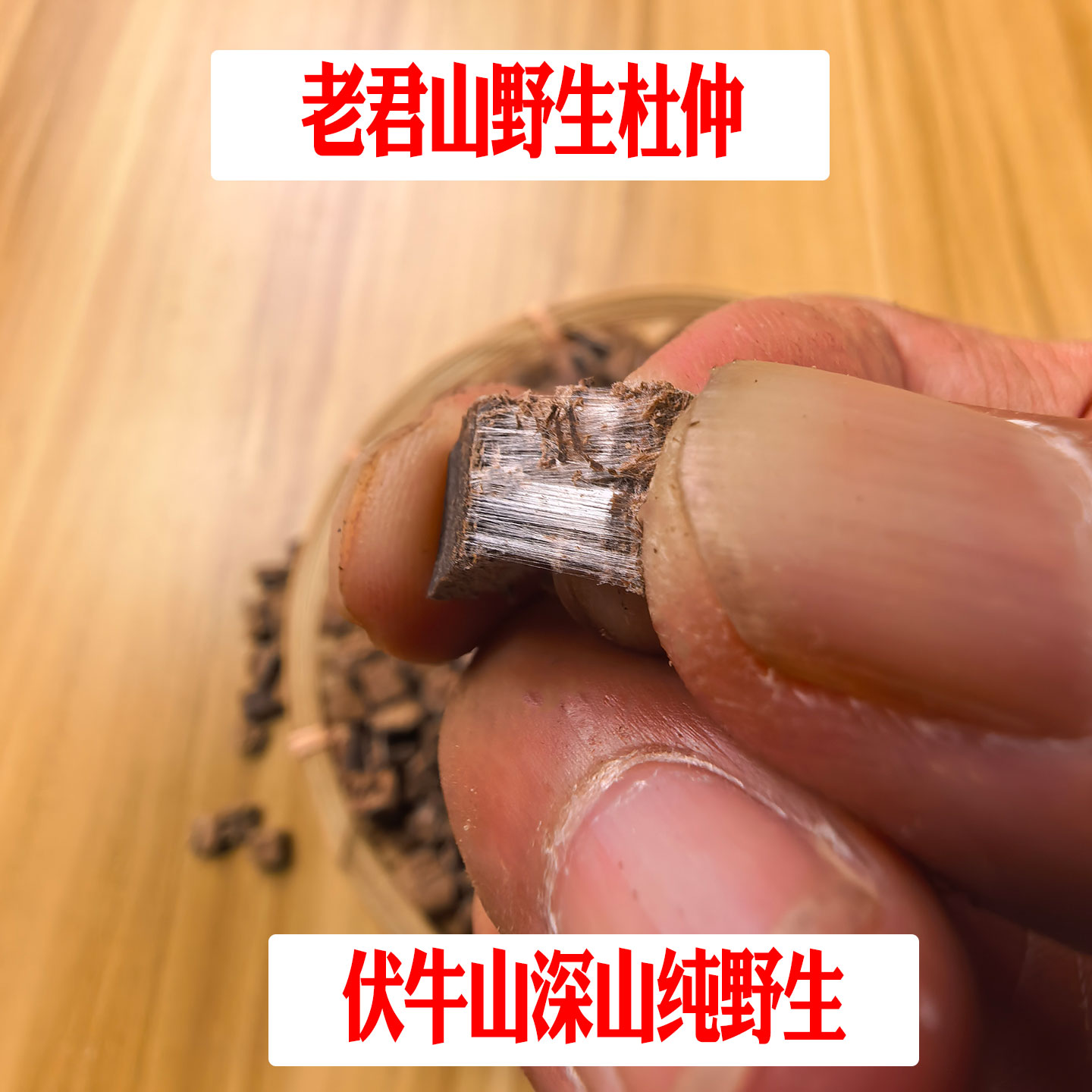 野生杜仲丁可泡茶中藥材