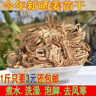 广东韶关客家坐月子洗澡泡脚用日晒老生姜苗叶干散风去寒凉一斤