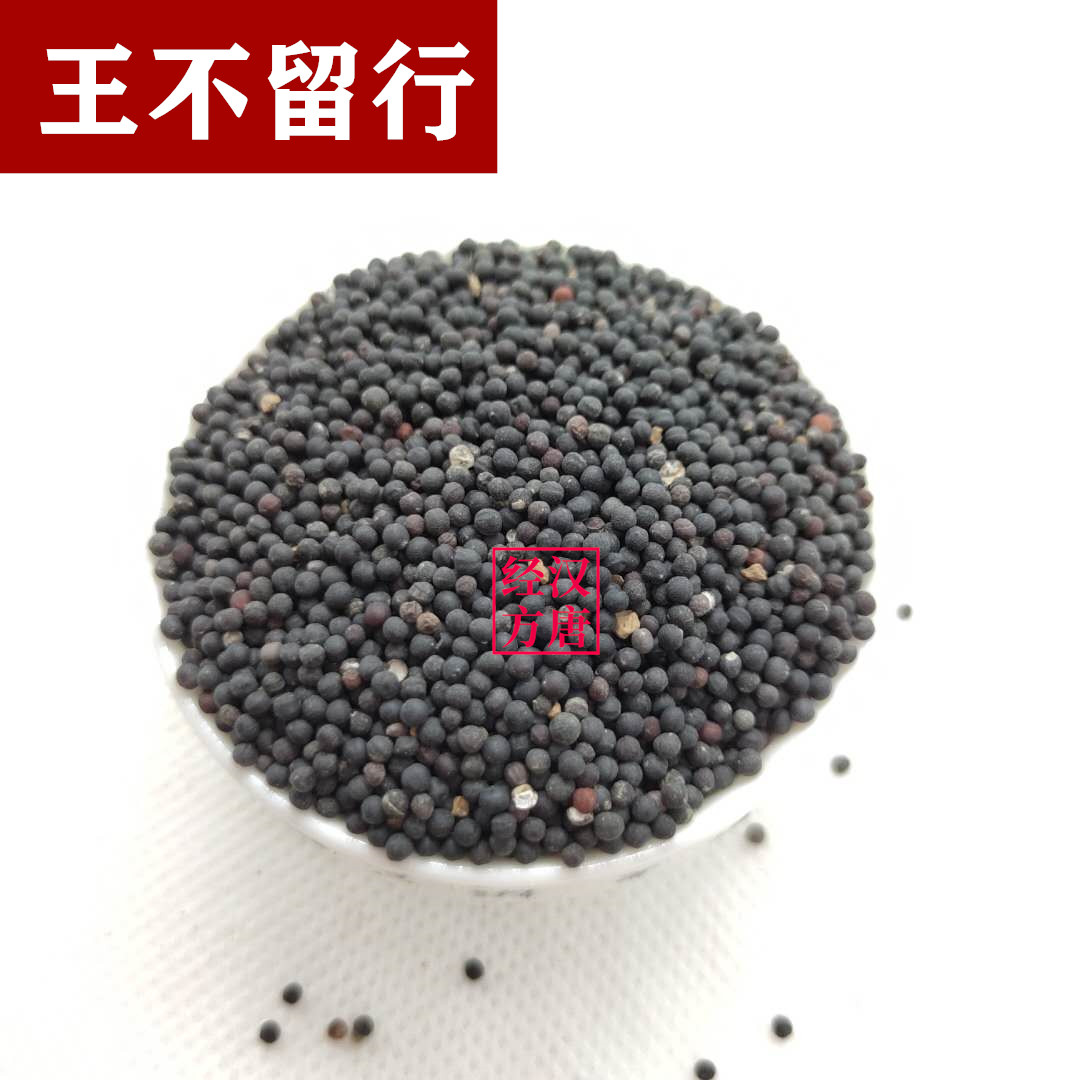 倪海厦经方用药 中药材王不留行250克 王不留行子 王不留行籽