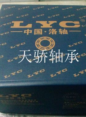 煤矿专用洛阳LYC轴承 原装 6310E-2RZ TJU