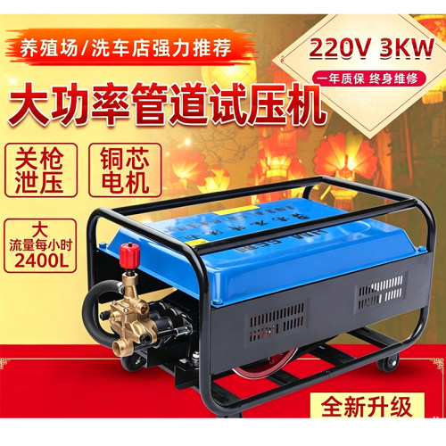 大管道电动试压泵消防水管打压机工地厂房加压全铜电机洗车两用