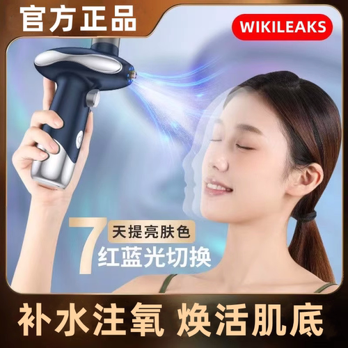 寻秋家用通用冷喷手持纳米喷雾枪