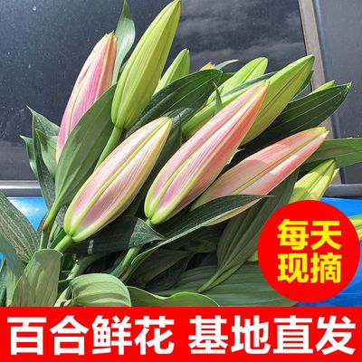 香水百合花束玫瑰水养鲜切向日葵花材客厅装饰云南昆明基地直发批