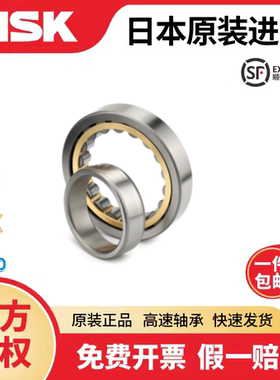 双列圆柱滚子轴承 NN3005 NN3006 NN3007 NN3008 NNU4920 NNU4922