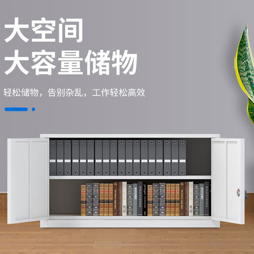 加厚铁皮单节柜加层板办公储物柜