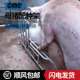 母猪配种架升降款 母猪配种架热镀锌管耐腐蚀配种驯猪采精配猪架子