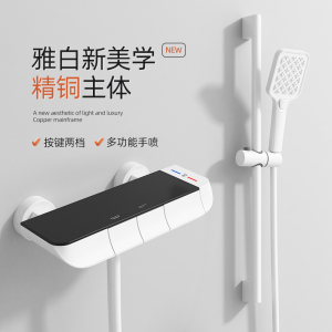 白色全铜淋浴花洒套装家用卫生间