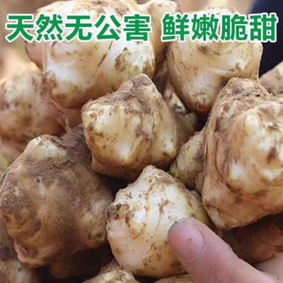 新鲜洋姜野生不辣姜甜姜脆姜菊芋