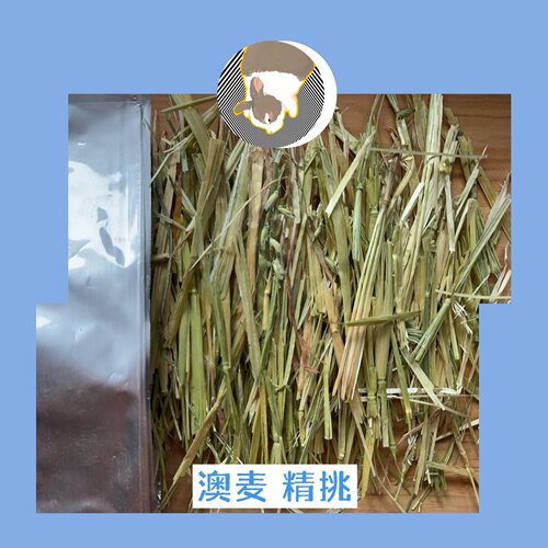 澳麦精挑普挑25年澳大利亚进口燕麦草兔子干草兔草龙猫豚鼠