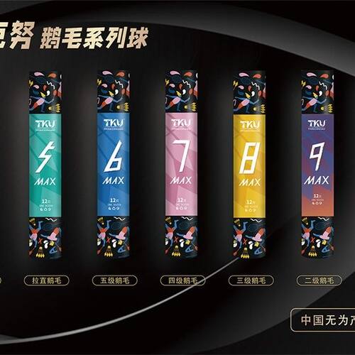 12只齐克努水鸭新7号5max羽毛球