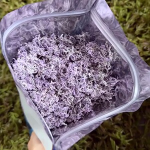 明前莓茶藤茶张家界野生芽尖茶叶
