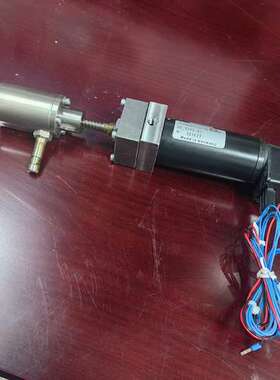 莱默尔DR 1275-03纠偏电机 MAXON 205654