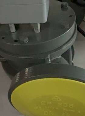 EP305 DIN3443 Form A 阀门DN25，实物