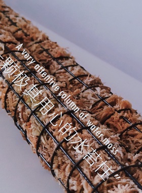 边境之光/Climbing plan攀爬计划 水苔柱 植物攀爬柱 水台柱 棕柱