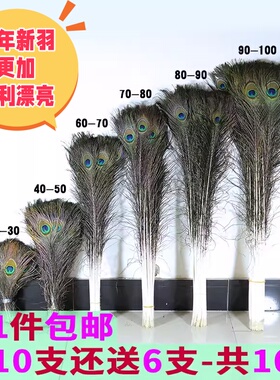 孔雀羽毛天然真孔雀毛羽毛插花瓶孔雀翎尾毛饰品羽毛装饰25-100cm