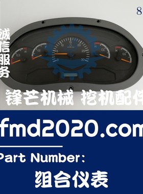 外贸装载机配件ZL2-259FC组合仪表B03063，9D670-66A020000A0