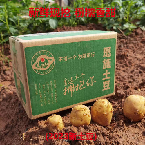 正宗恩施小土豆2026年新鲜5斤整箱湖北富硒迷你高山黄心土豆洋芋