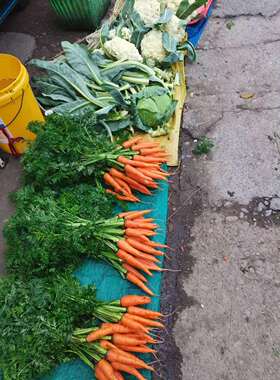 衢州江山农村农家蔬菜露天红萝卜新鲜胡萝卜老品种非转基因5斤