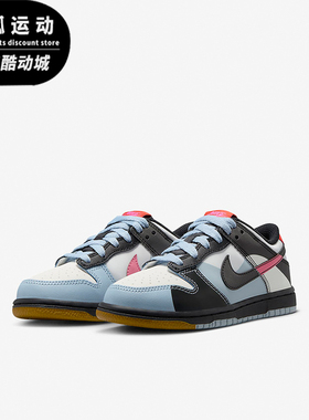 Nike/耐克正品春季新款GS女子大童复古低帮板鞋FJ2687-100