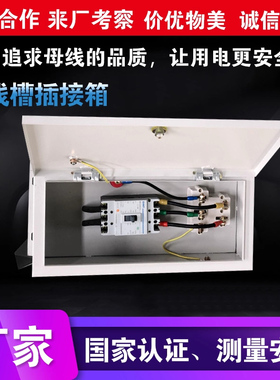 母线槽插接箱 接线箱 63A 100A 125A 200A 250A 400A 630A