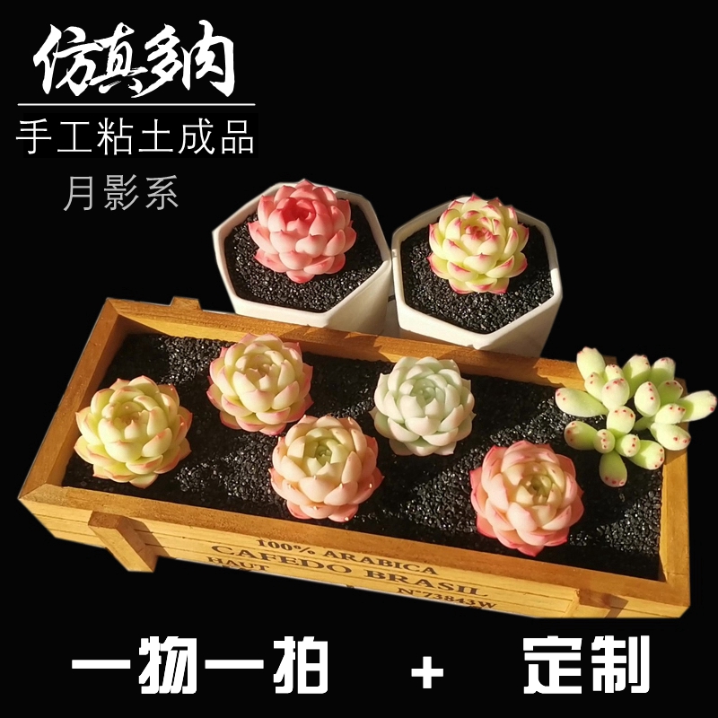 手工粘土女王麦秆月影系多肉客厅仿真植物摆件成品一物一拍 定制