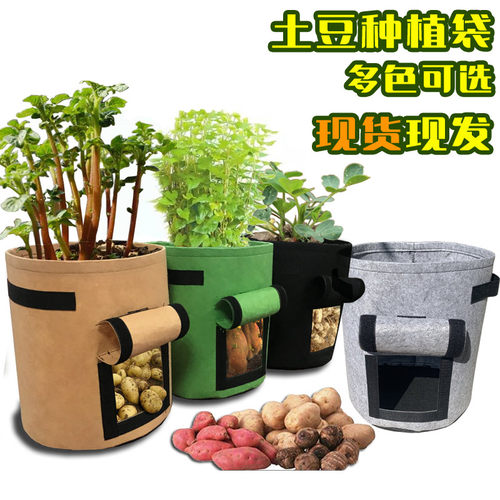 森景土豆种植袋番薯无纺布美植袋