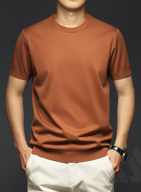 男士高端短袖T恤丝光棉纯棉打底针织衫白色休闲半袖体恤2025男装