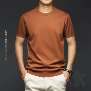 体恤2025男装 男士 白色休闲半袖 T恤丝光棉纯棉打底针织衫 高端短袖