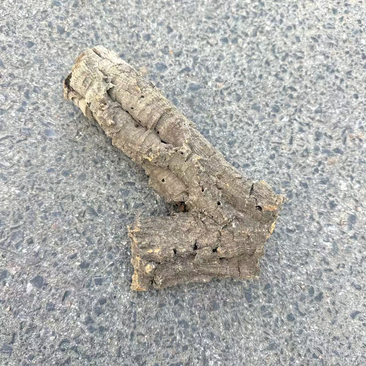 葡萄牙进口实心软木圆木雨林缸鱼缸造景骨架树洞爬宠躲避鬃狮守宫