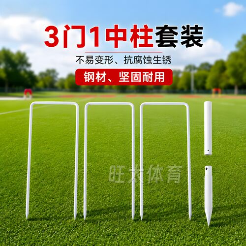 长寿正规赛事门球套装白色烤漆