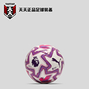 26英超纪念迷你足球1号小球儿童球084721 天天正品 Puma彪马25