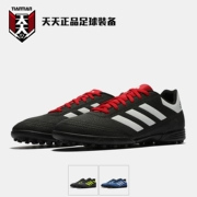 Giày thể thao Adidas Goletto VI hàng ngày bị hỏng móng TF giày bóng đá không trơn trượt G26369 - Giày bóng đá