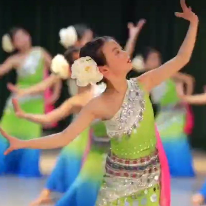 傣族儿童舞蹈服装艺考半身鱼儿裙