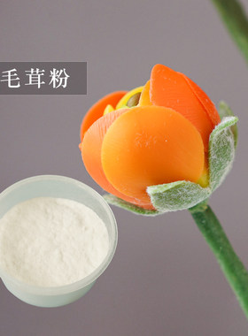 蜜蜡花多肉毛绒粉仿真植物白色粉