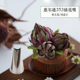 美国进口wilton惠尔通裱花嘴349 353国产353豆沙奶油香薰蜡烛花嘴