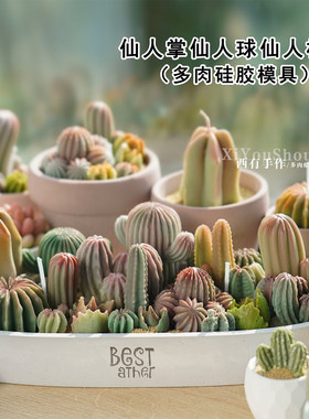多肉仙人掌仙人球蜡烛硅胶模具