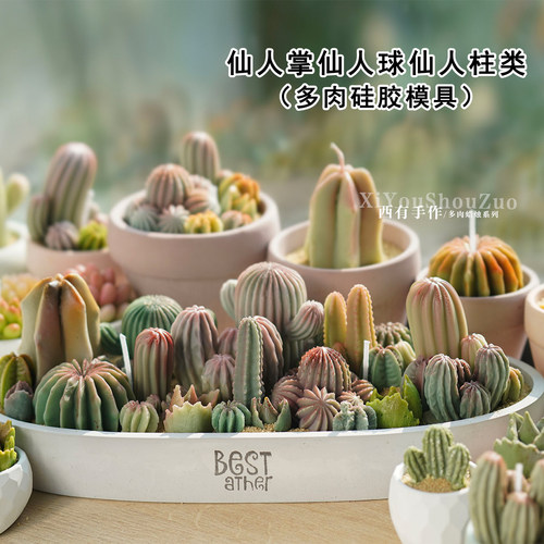 多肉仙人掌仙人球蜡烛硅胶模具