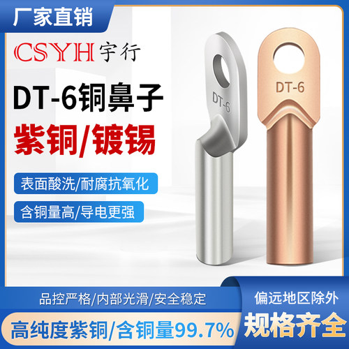 CSYS镀锡和本色铜鼻子DT