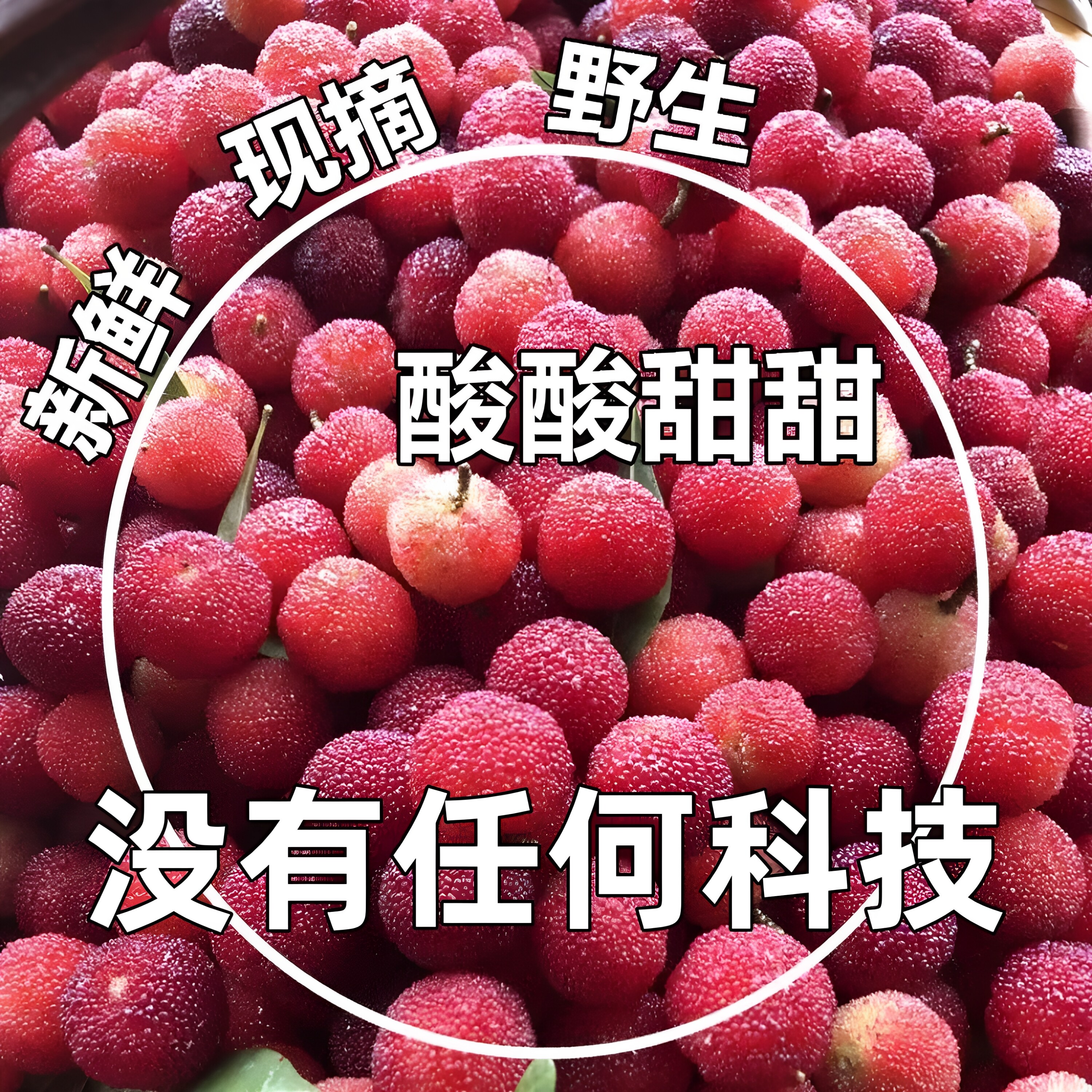 韶关本地土杨梅野生整箱2-5斤青红小杨梅酸酸甜孕妇开胃新鲜水果