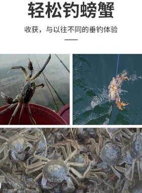十爪螃蟹钩越南锚钩钢丝爆炸多爪盘钩渔具铅坠头渔钩钓螃蟹
